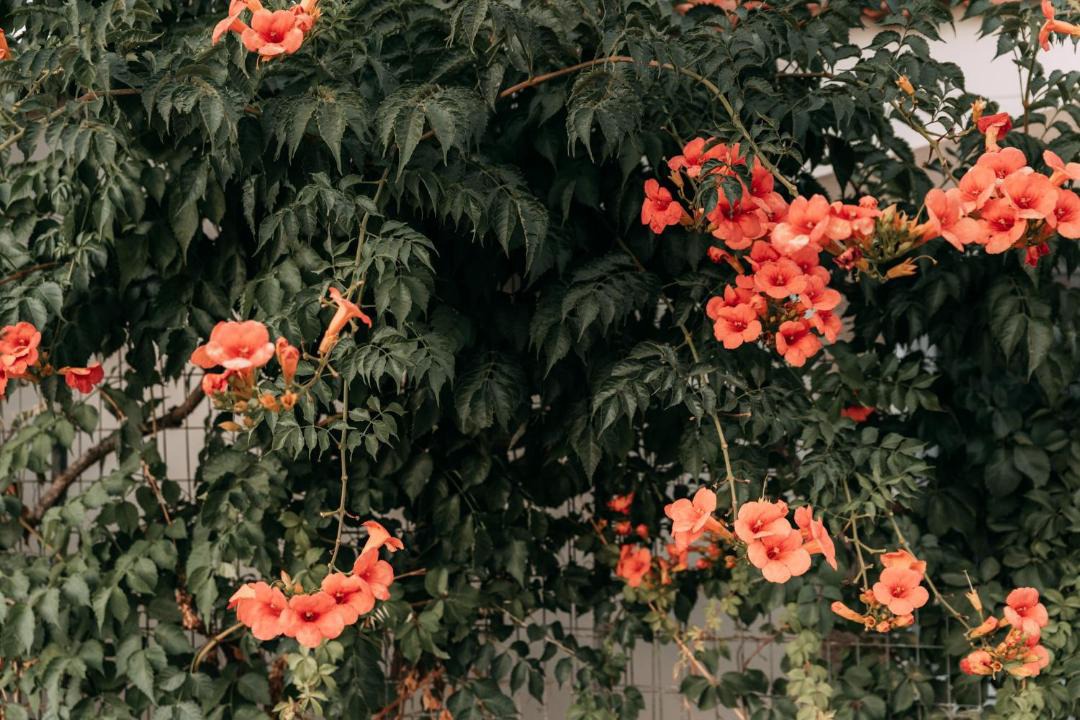 Photo of Others in Mires