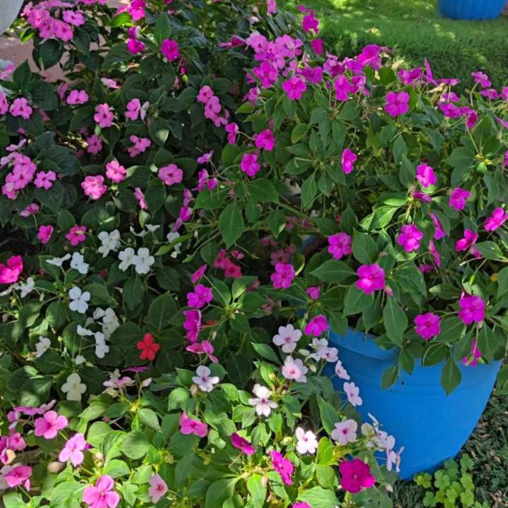 Photo of Outdoor in Minia