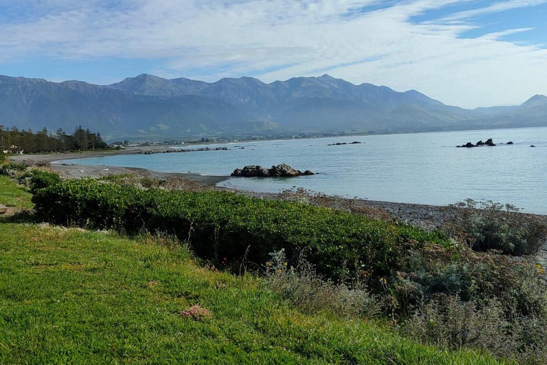 Photo of Others in Kaikoura