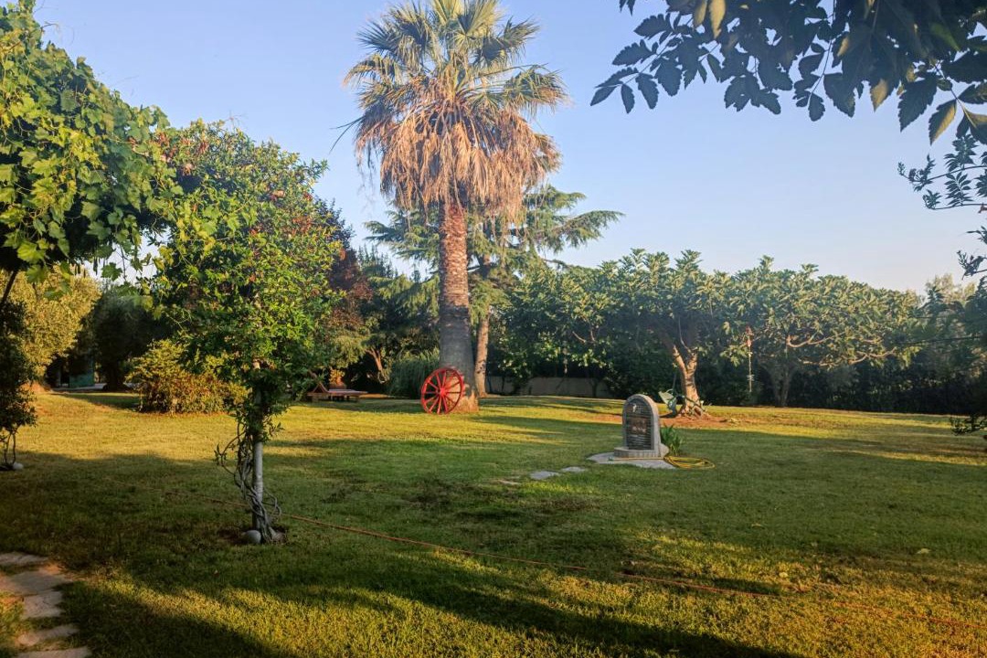 Photo of Others in Psakoudia