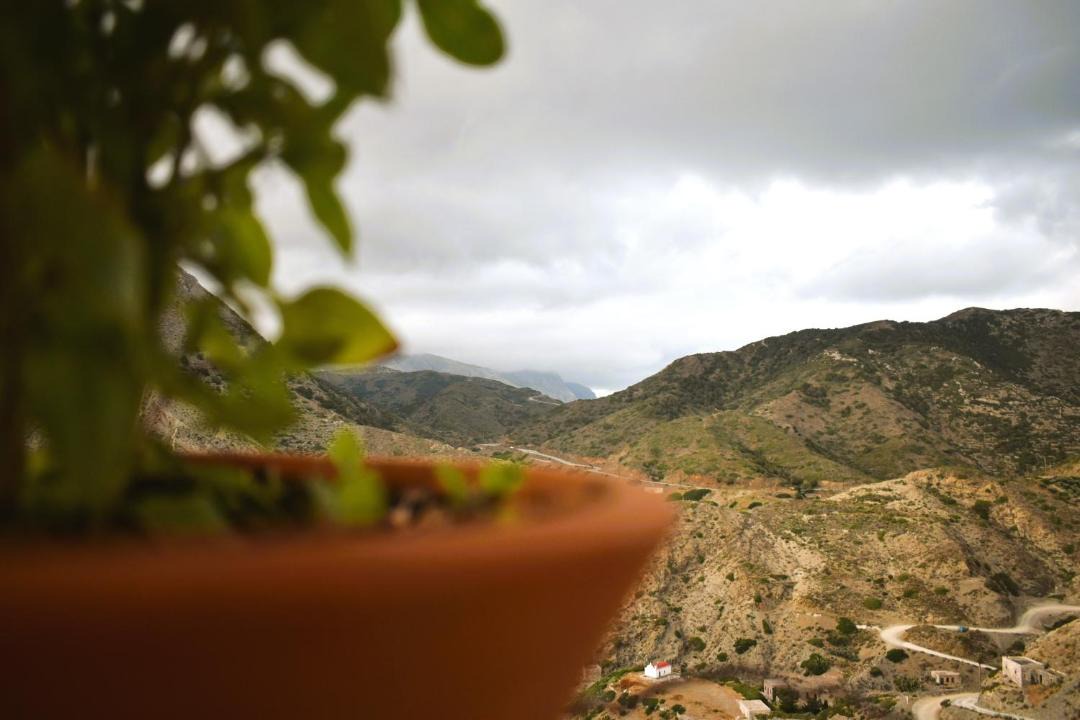 Photo of Others in Olympos