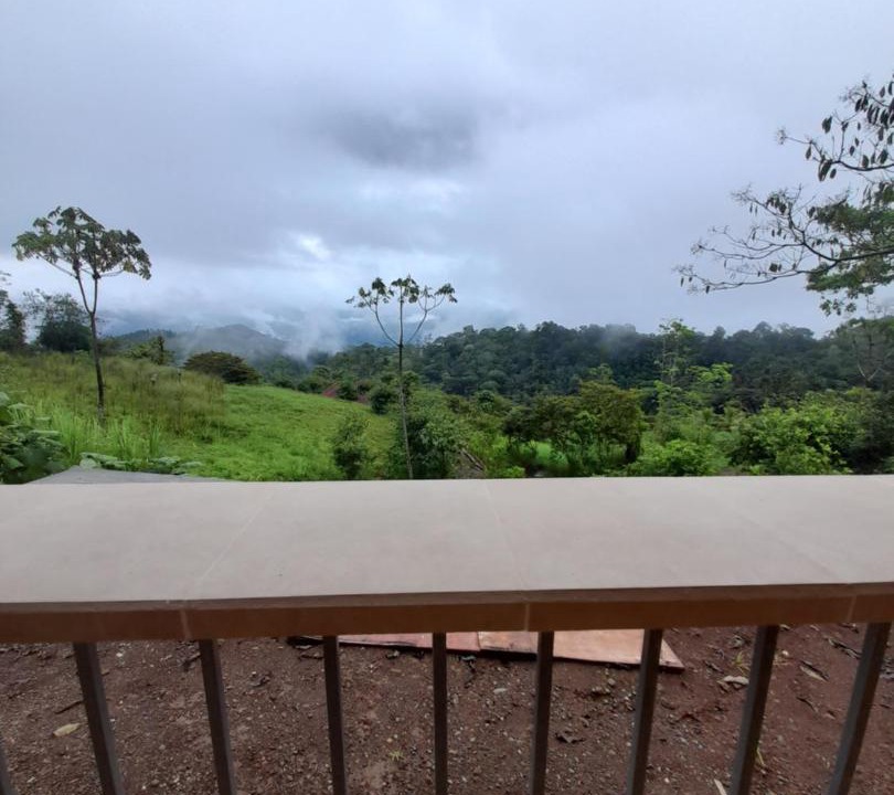 Photo of Others in Pacuare Reserve