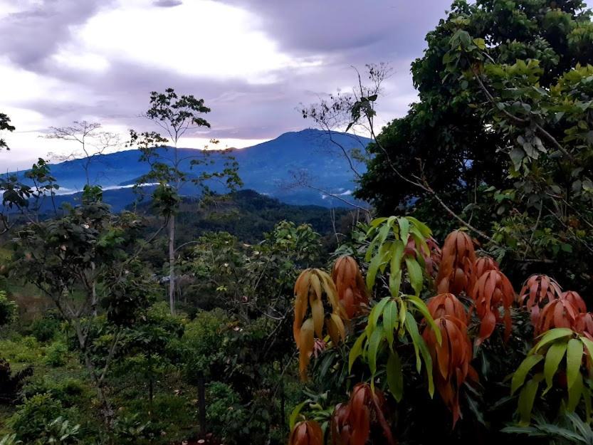 Photo of Others in Pacuare Reserve