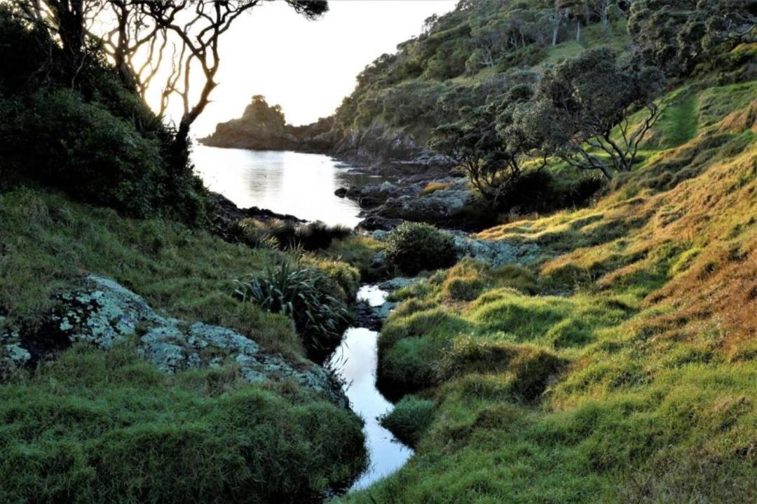Photo of Outdoor in Tutukaka