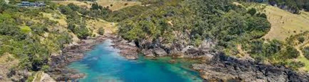 Photo of Outdoor in Tutukaka