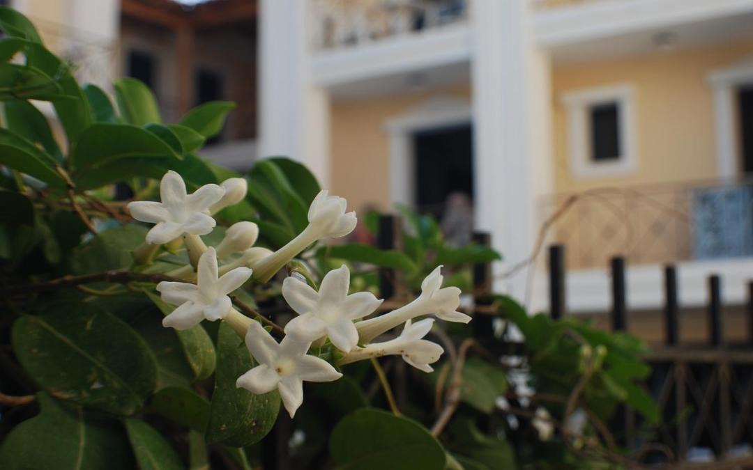 Photo of Others in Agia Pelagia