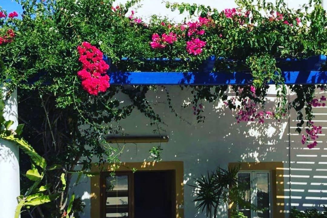 Photo of Others in Leros