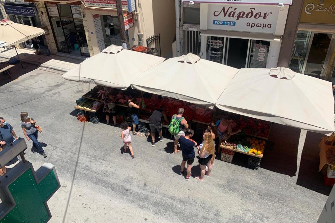 Photo of Others in Mires