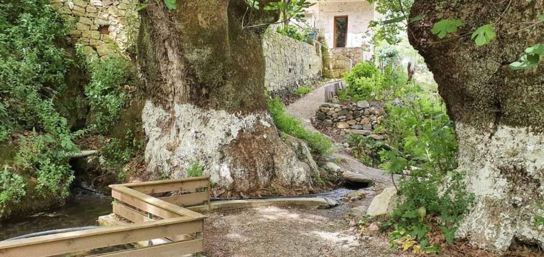 Photo of Others in Meskla