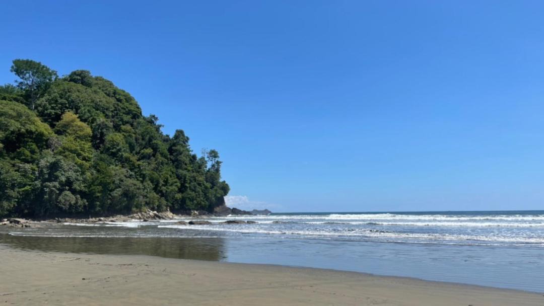 Photo of Others in Uvita