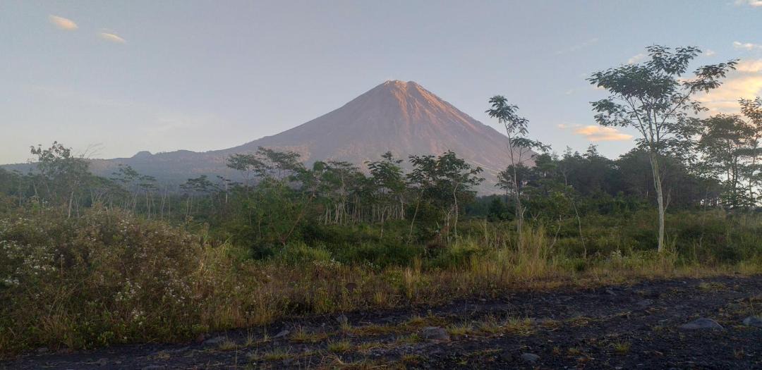 Photo of Others in Argosari