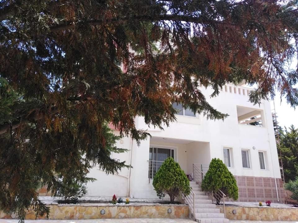 Photo of Others in Salamis