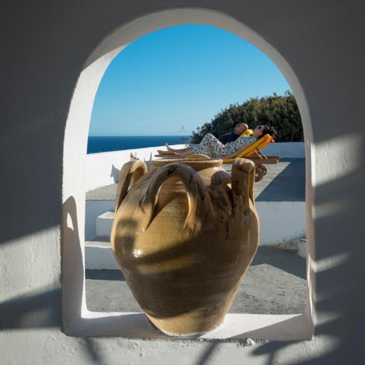 Photo of Others in Alopronia