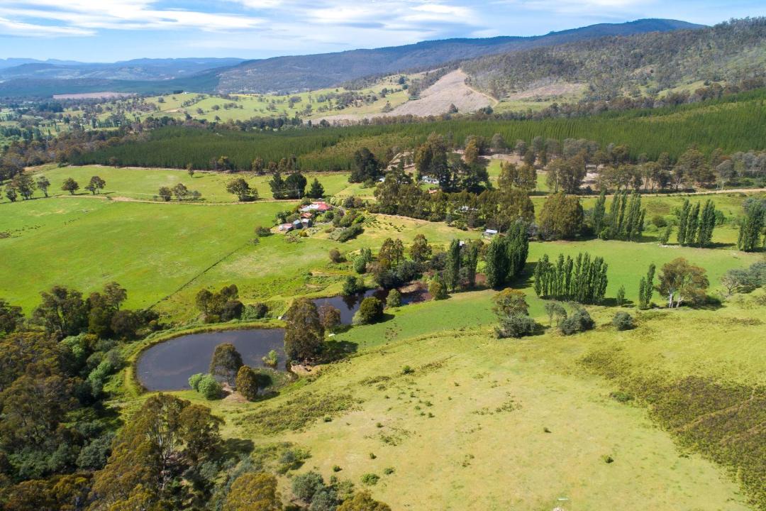 Photo of Others in Fentonbury