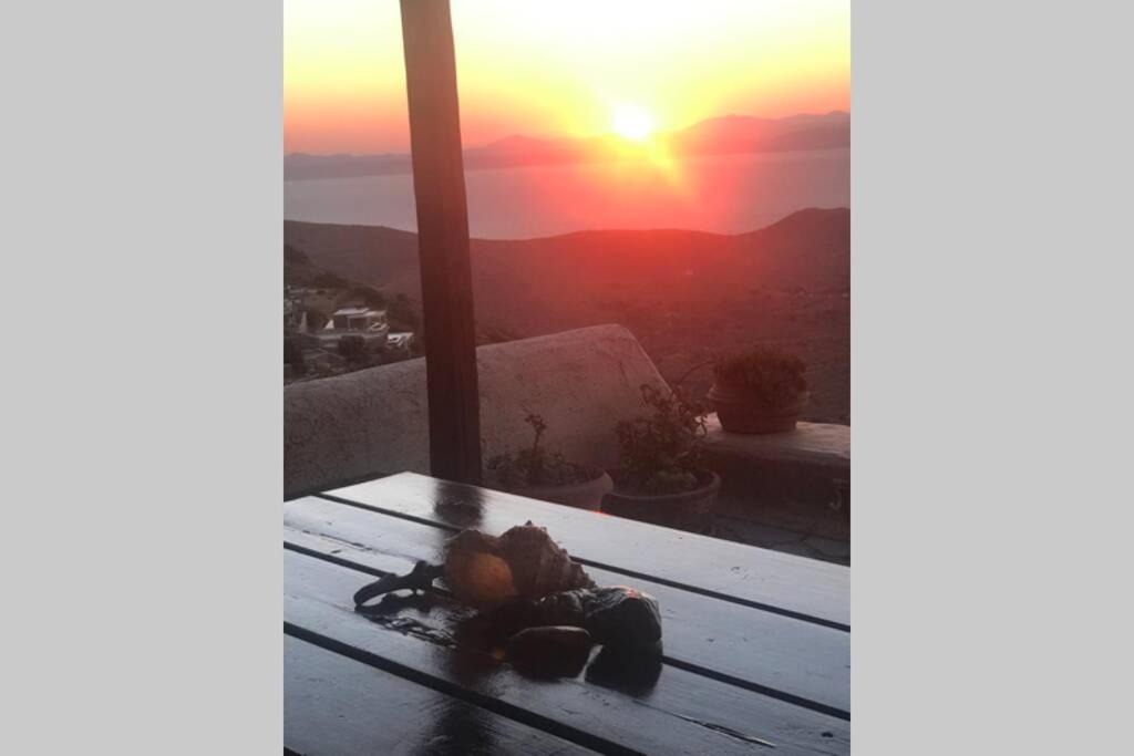 Photo of Others in Kea