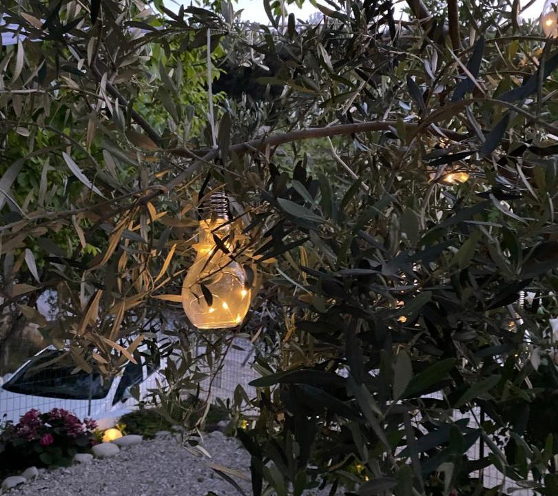 Photo of Others in Samothrace