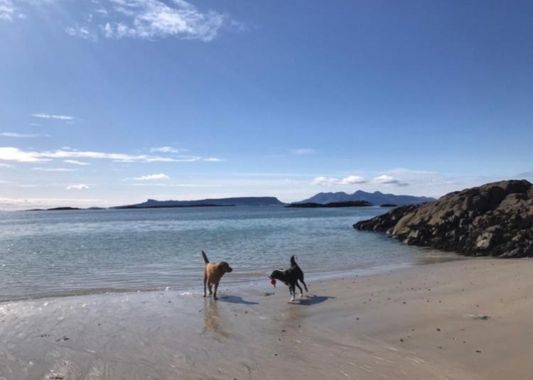 Photo of Others in Mallaig