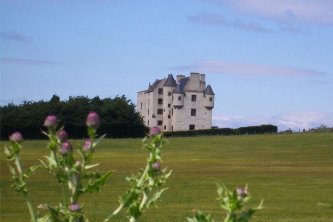 Photo of Others in Musselburgh