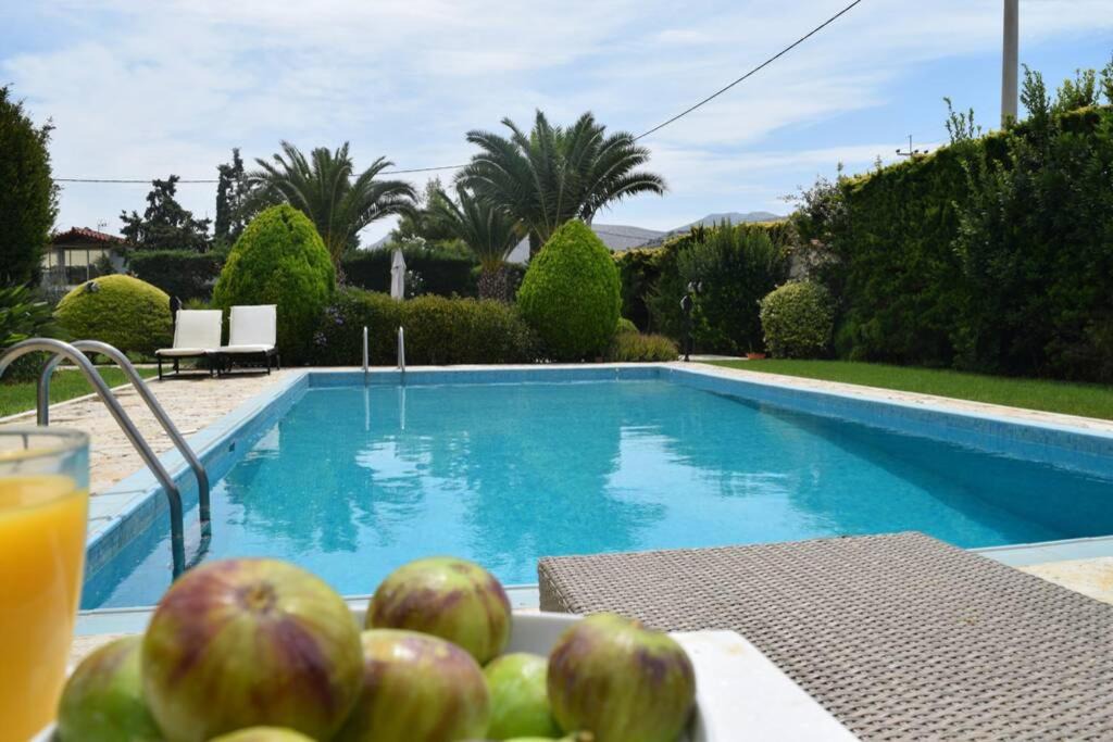 Photo of Outdoor in Lagonissi