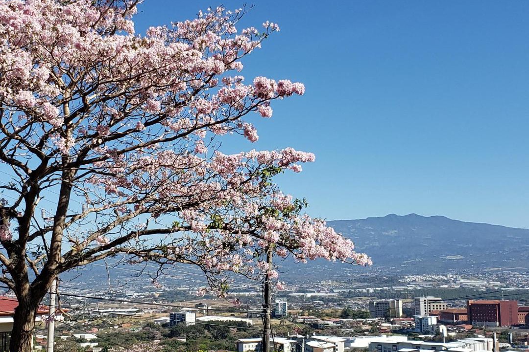 Photo of Others in Escazu