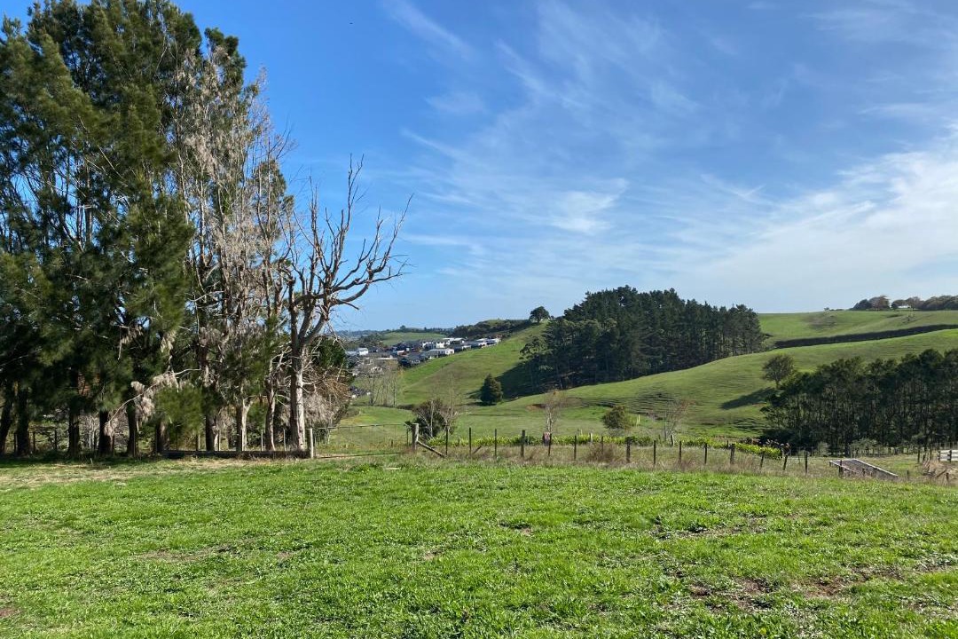 Photo of Others in Pukekohe