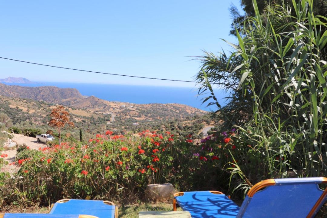 Photo of Others in Triopetra