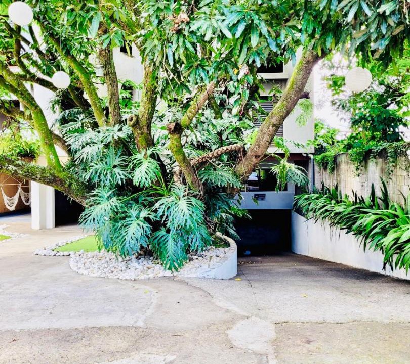 Photo of Others in Cacique