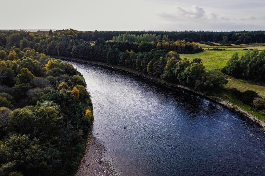 Photo of Others in Forres