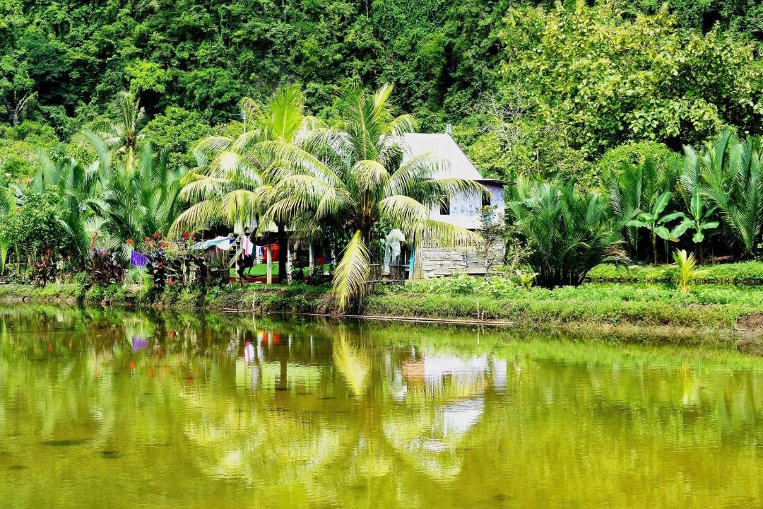 Photo of Others in Bantimurung