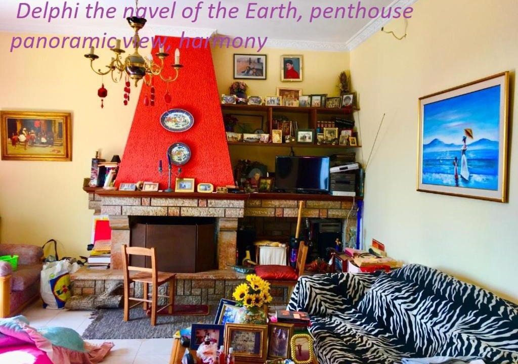 Photo of Livingroom in Delfoi