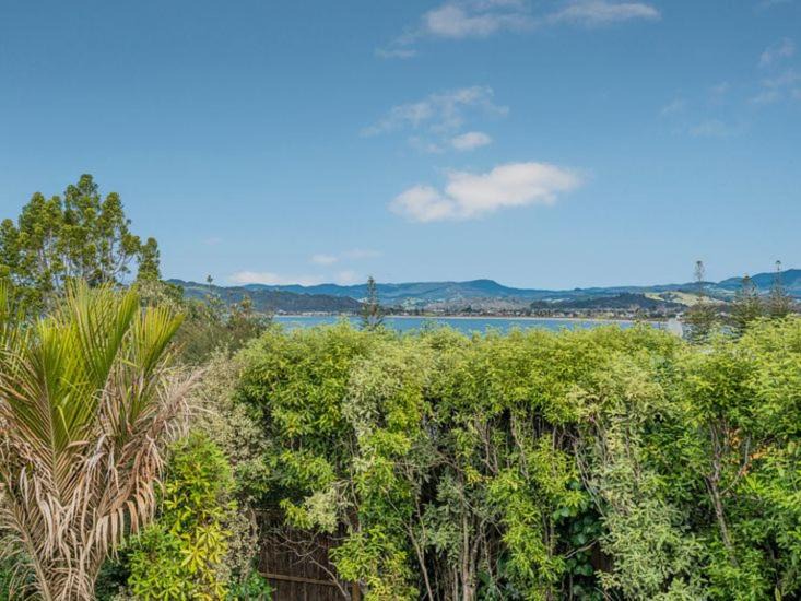 Photo of Others in Whitianga