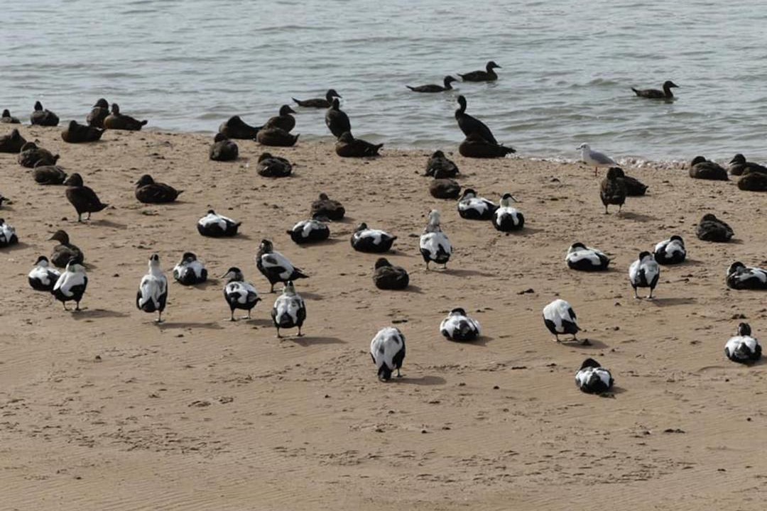 Photo of Others in Newburgh