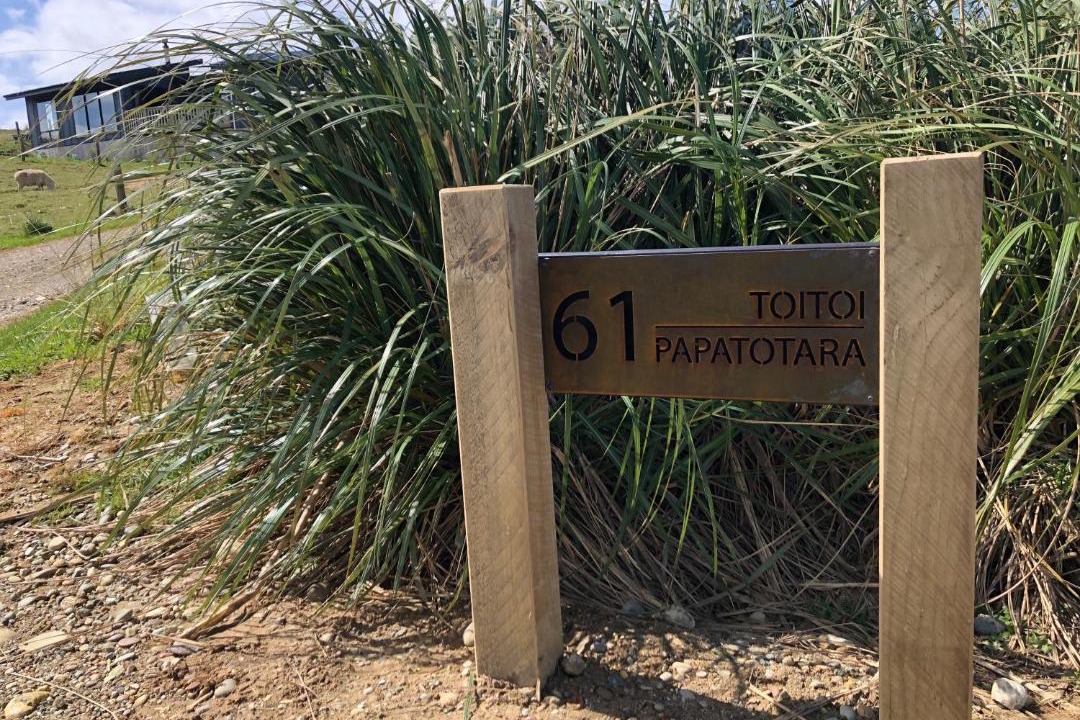 Photo of Outdoor in Papatotara