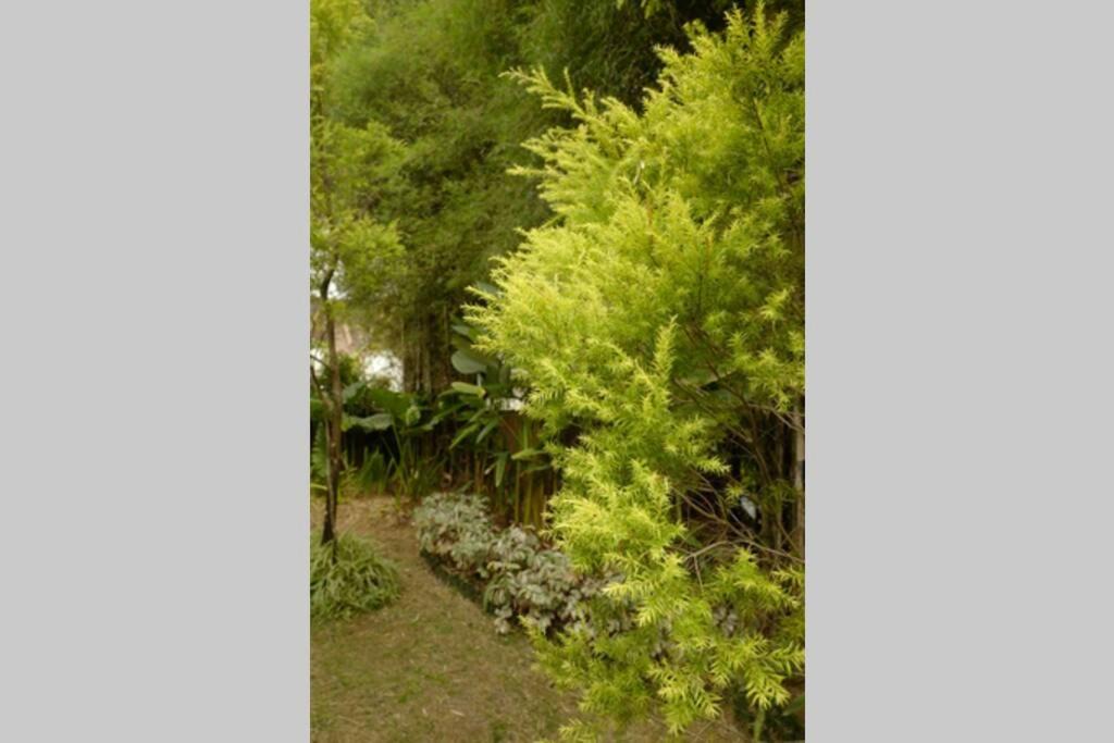 Photo of Outdoor in Ciawi