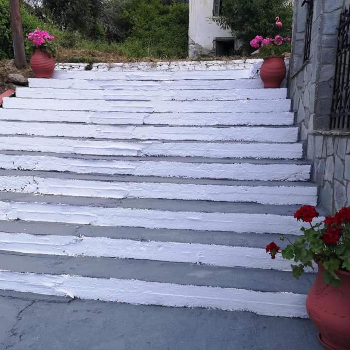 Photo of Others in Pirgadikia