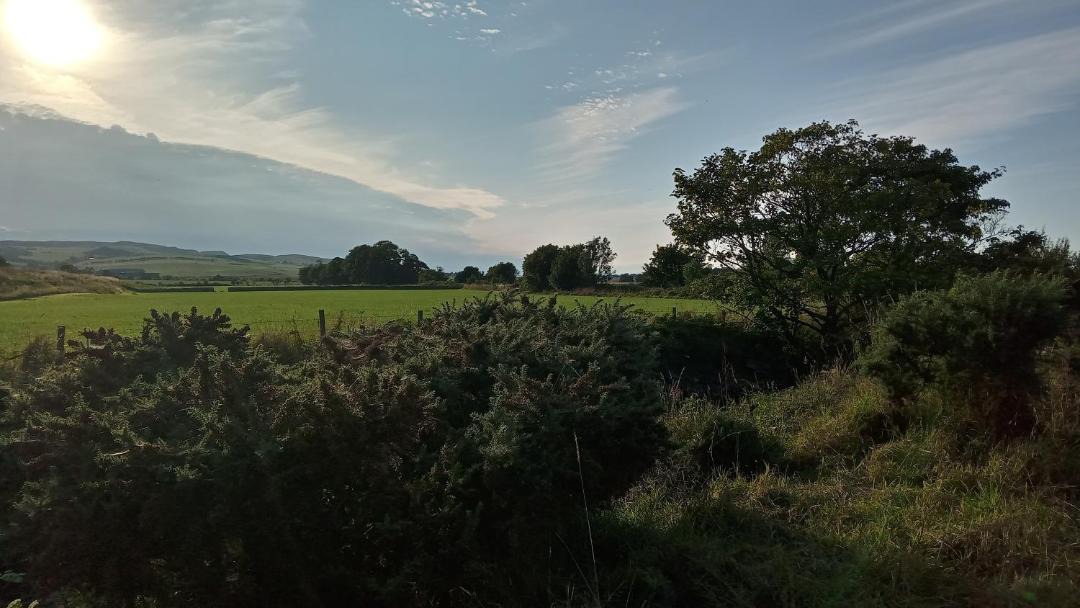 Photo of Outdoor in Campbeltown
