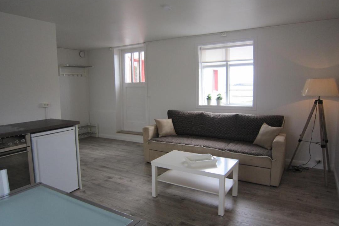Photo of Livingroom in Hofn