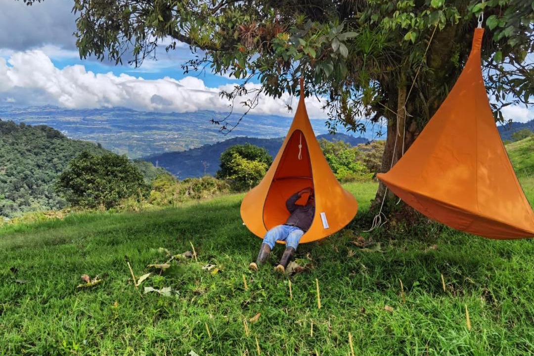 Photo of Others in Pacuare Reserve