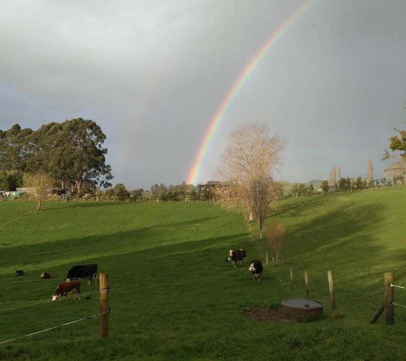 Photo of Others in Te Pahu