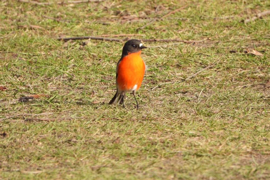 Photo of Others in Garden Island Creek