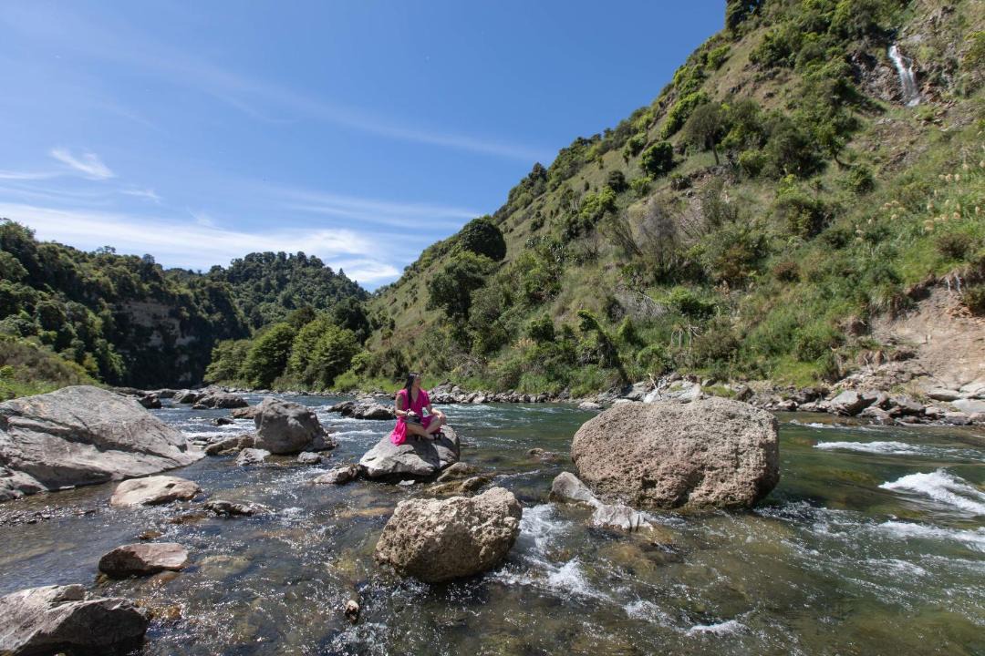 Photo of Others in Taihape