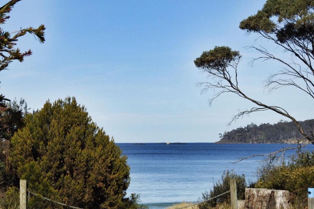 Photo of Outdoor in Surveyors Bay