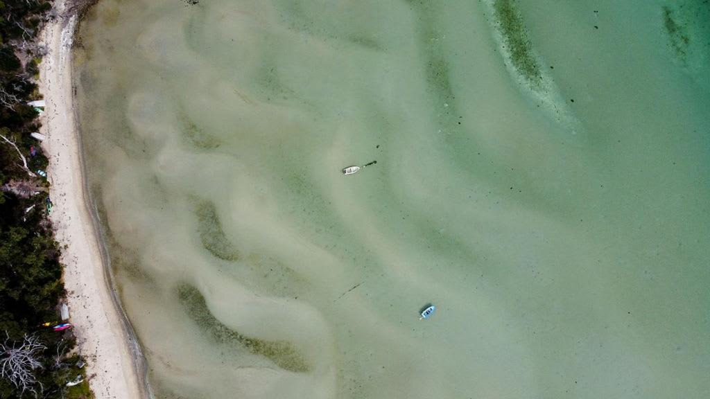 Photo of Others in Great Bay