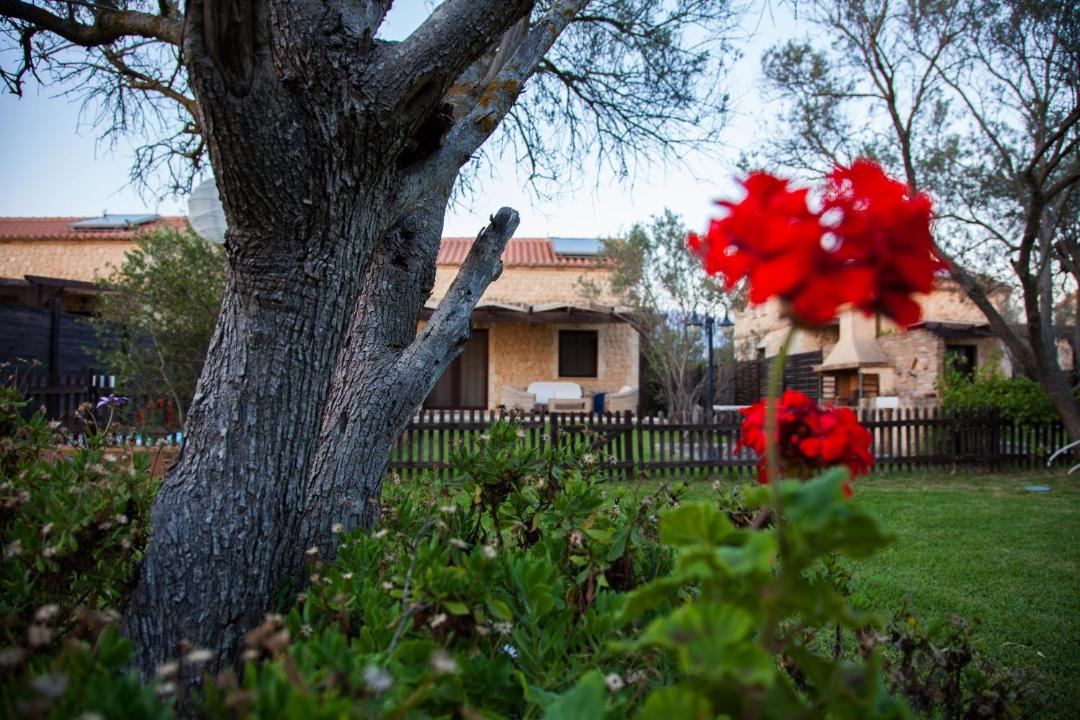 Photo of Buildings in Sarlata