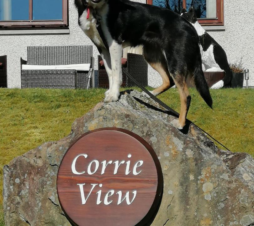 Photo of Others in Invergarry