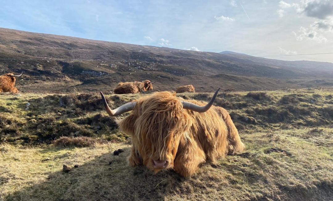 Photo of Others in Inverfarigaig