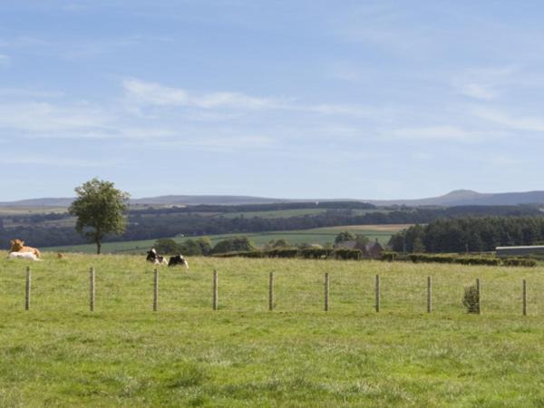 Photo of Outdoor in Annan