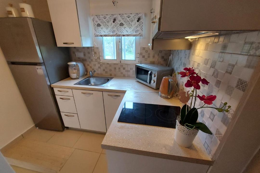 Photo of Kitchen in Minia