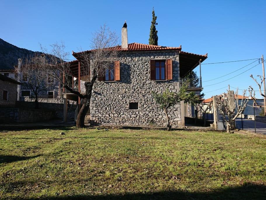Photo of Others in Lilaia