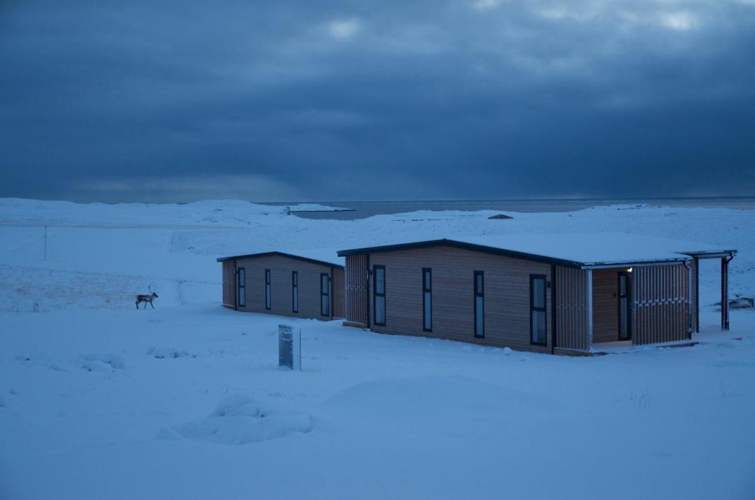 Photo of Others in Djupivogur